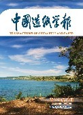 中國造紙學(xué)報
